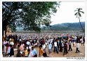 uthralikkavu_pooram (8)